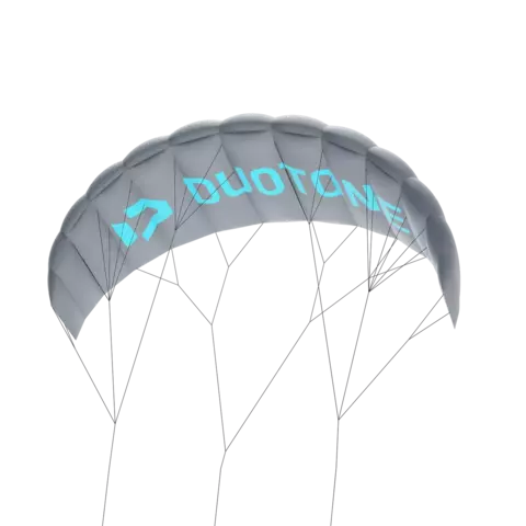 Kite Trainer Duotone Lizard